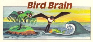 Bird Brain