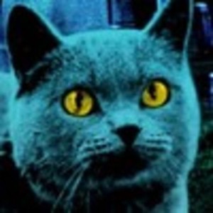 Pet Sematary