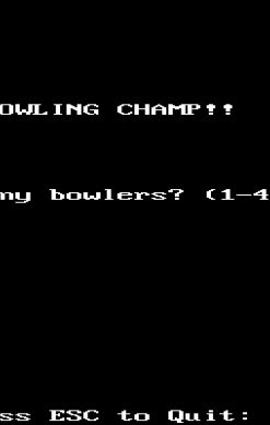 Bowling Champ!!