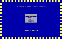 The Berenstain Bears: Learning Essentials