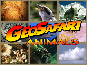 GeoSafari: Animals