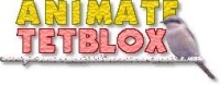 Animate TetBlox