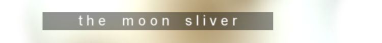 The Moon Sliver