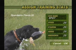 Ultimate Duck Hunting
